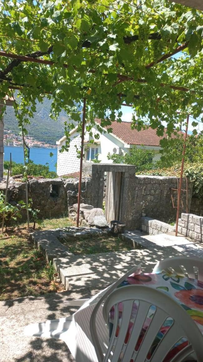 Apartments Vukasovic Котор Екстериор снимка